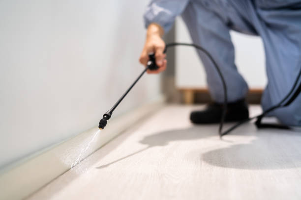 Licensed Rodent Control service in Texarkana, AR - Nex Pest Control