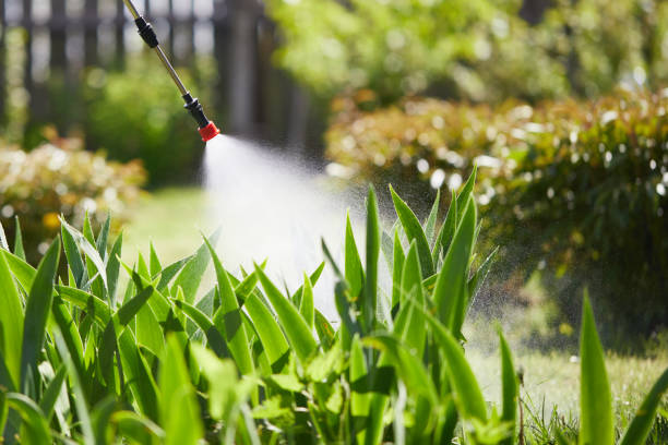 24/7 Emergency Rodent Control experts in Texarkana, AR