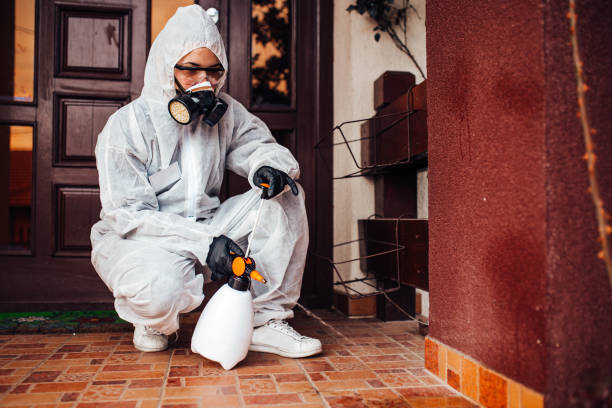 Reliable Rodent Control contractor in Texarkana, AR by Nex Pest Control
